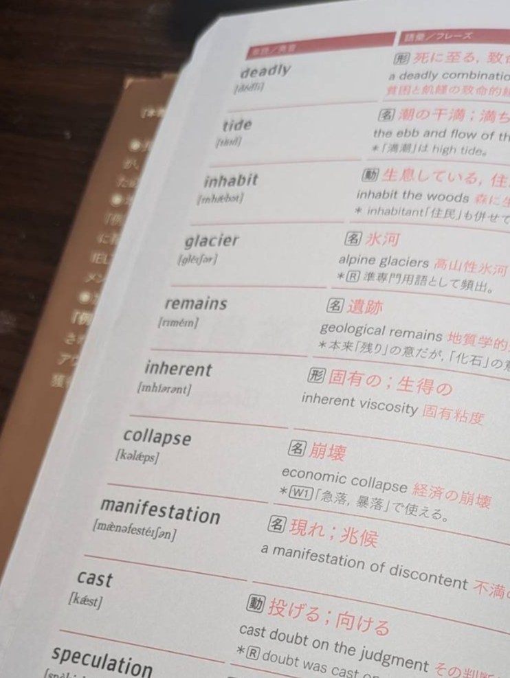 入力画像